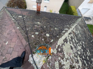 Nettoyage entretien et traitements toiture Lyonnaise